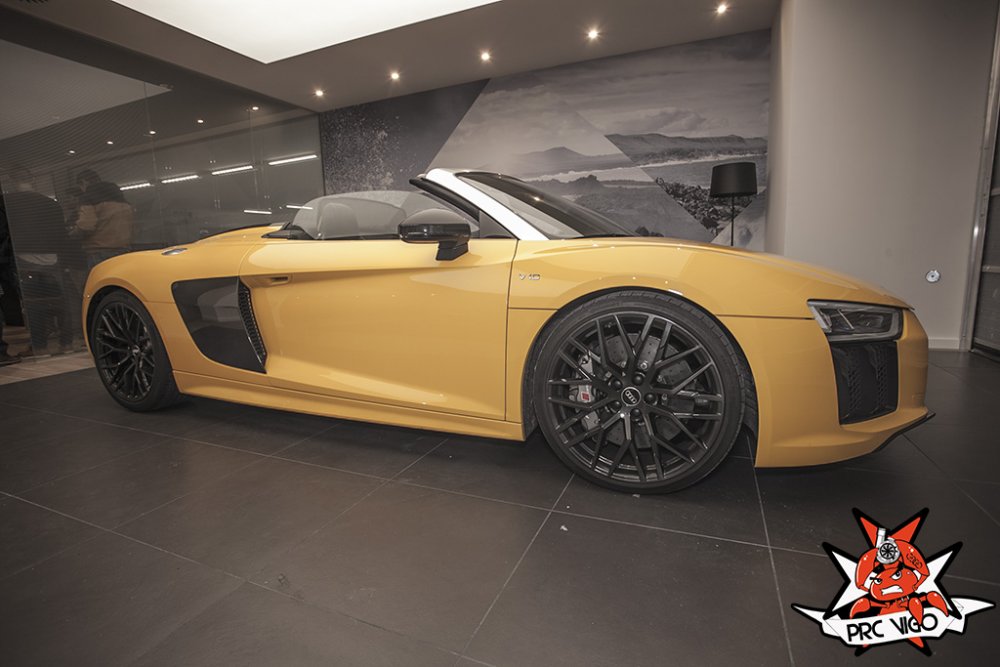 R8spyder.jpg.720b5f2cc3cd761f60c9164ece471bf4.jpg
