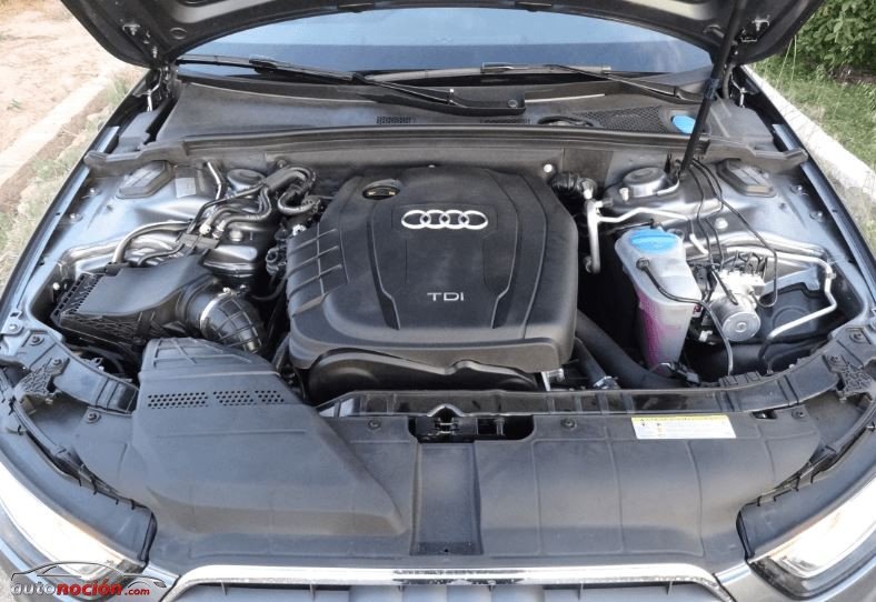 Motor-TDI-Audi-A4-Avant-177-cv.jpg.871d59f4eb0cad7ef1317111bb71674f.jpg