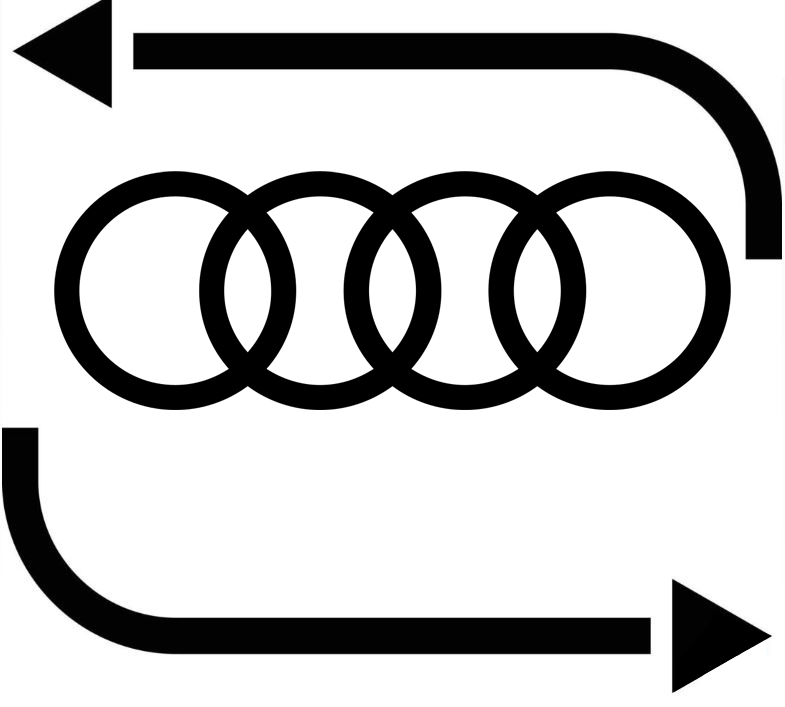 Asistente + Foto + Vuelta (sólo AUDI)
