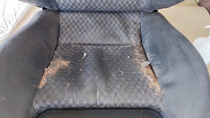 asiento_sucio_2.jpg.36a00e5ec1543b7ccd0b2b2438a97f9e.jpg