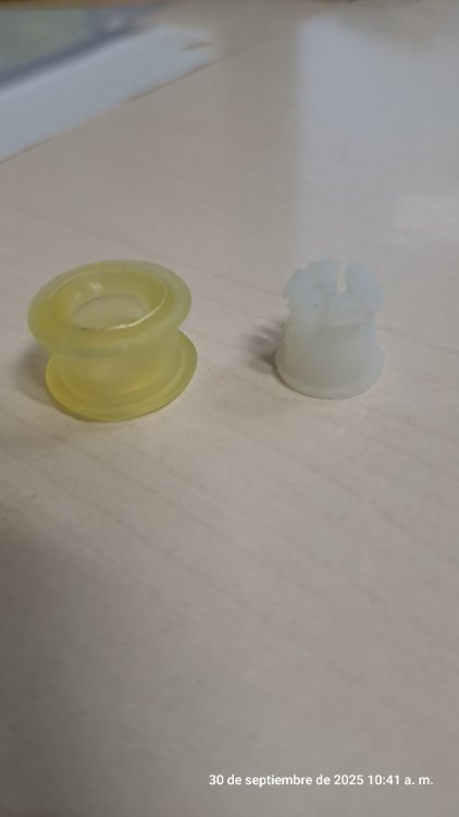 20250930_104109.jpg