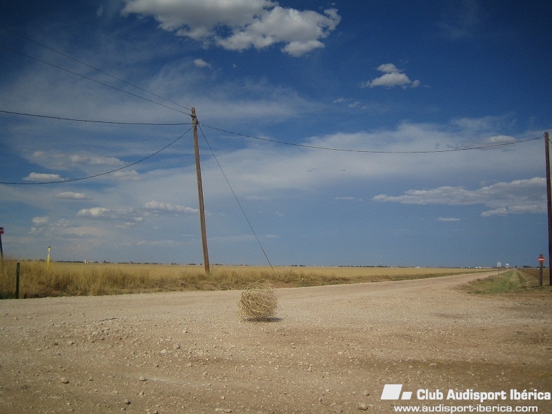 Tumbleweed_rolling.jpg